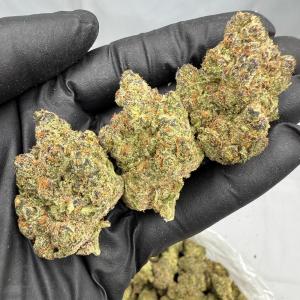 ASTRO PIE - INDOOR - Image 1