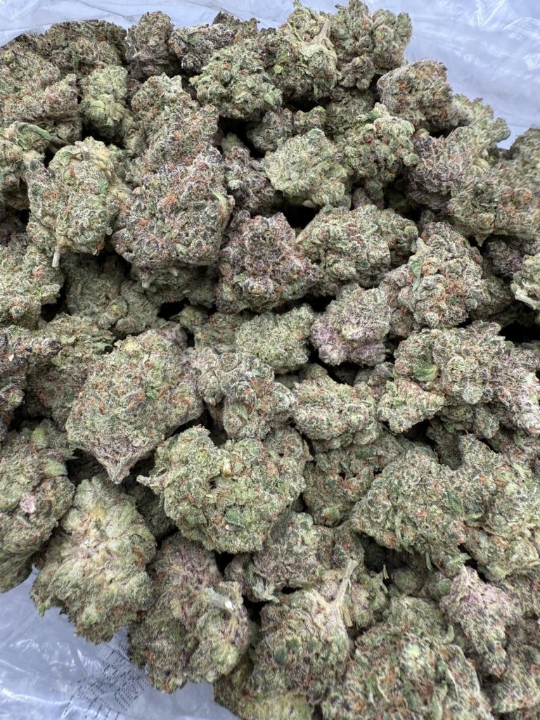 ASTRO PIE - INDOOR
