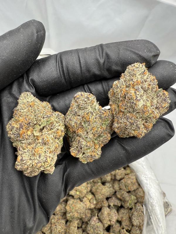 DOUBLE STUFF - INDOOR