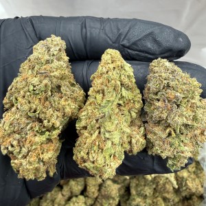 DOUBLE STUFF - INDOOR - Image 1