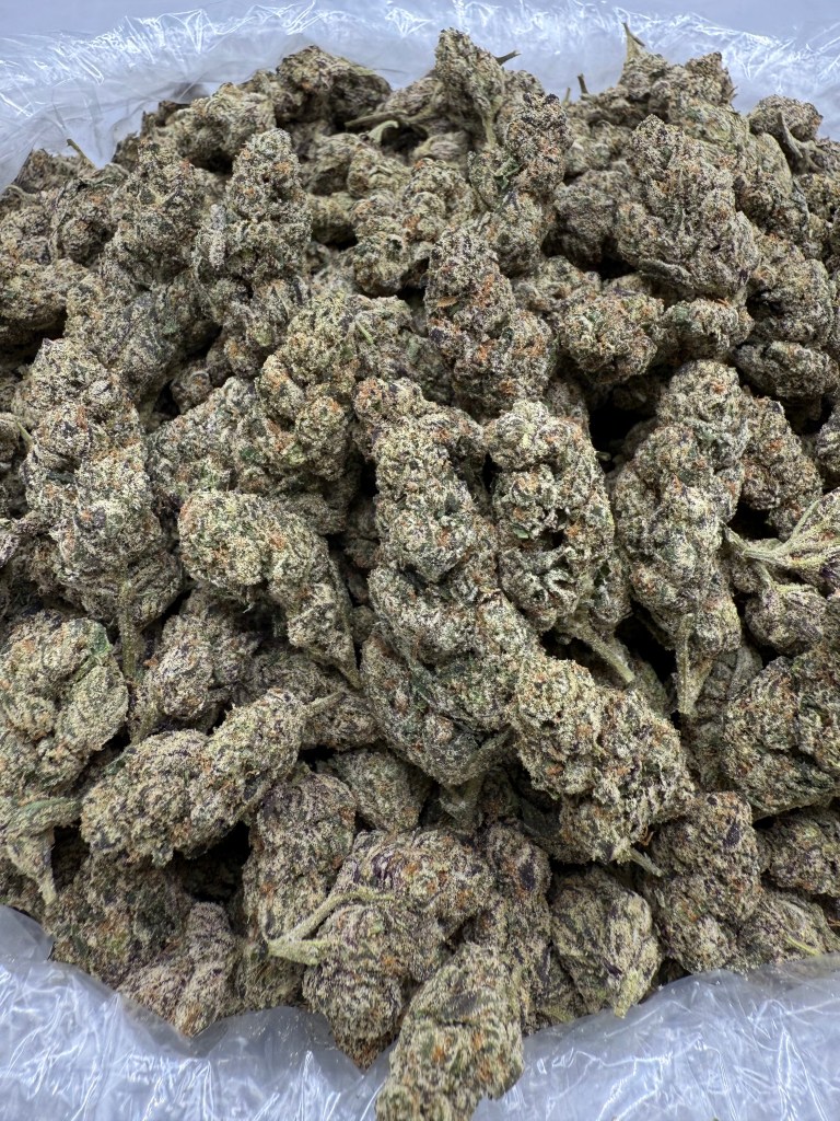 SUPER GLUE - VALUE INDOOR
