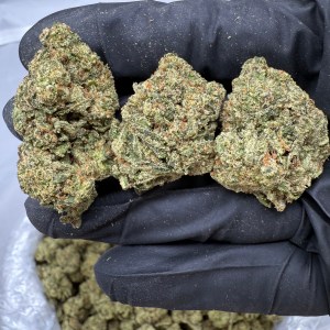 WHITE CHERRY GELATO - VALUE INDOOR - Image 1