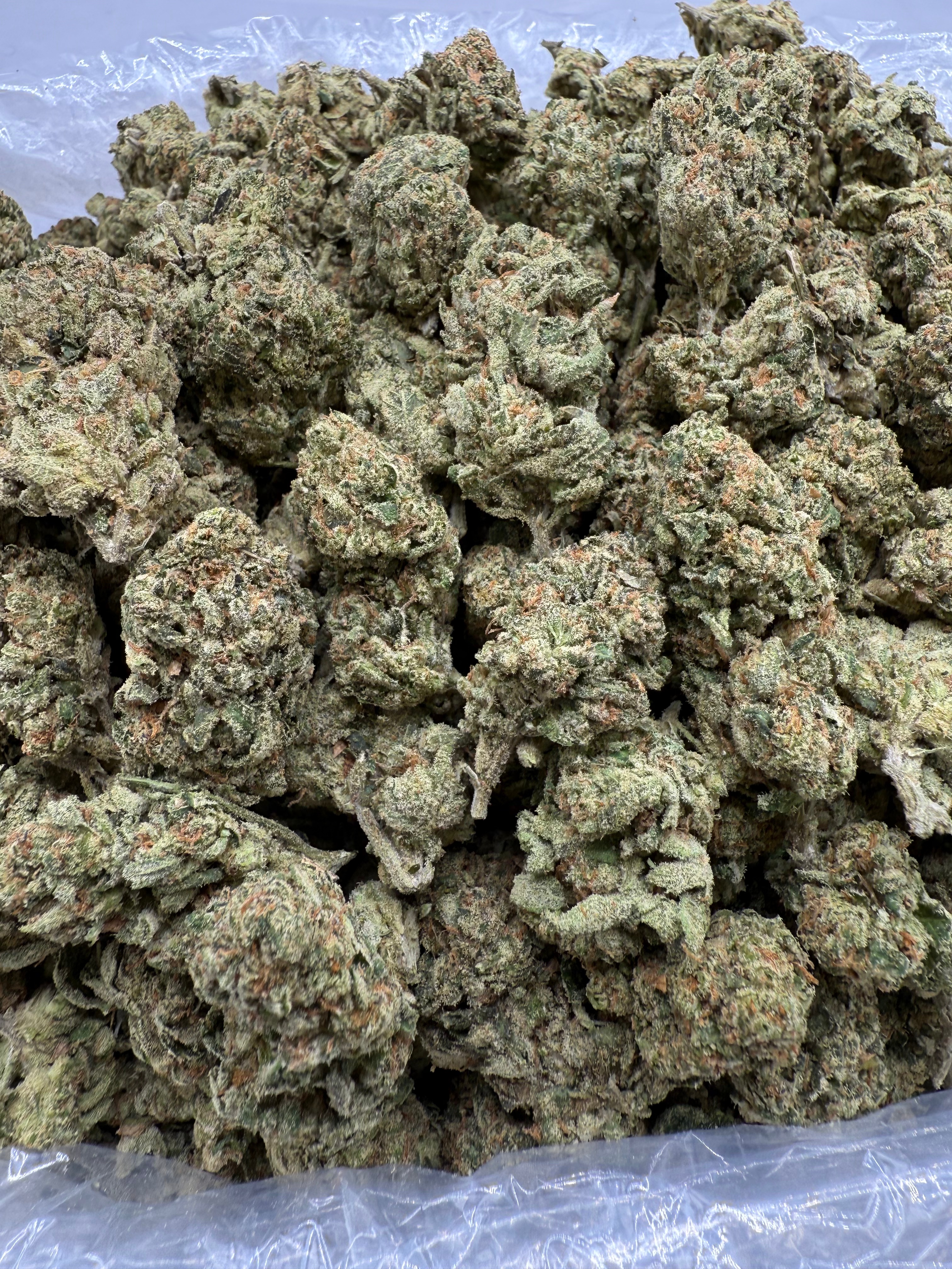 WHITE CHERRY GELATO - VALUE INDOOR - Image 2