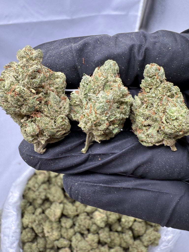 KOSHER KUSH - VALUE INDOOR
