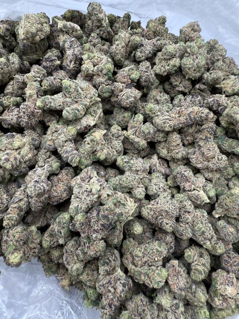 LYCHEE FIRE - INDOOR
