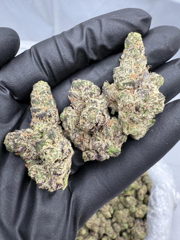 LYCHEE FIRE - INDOOR