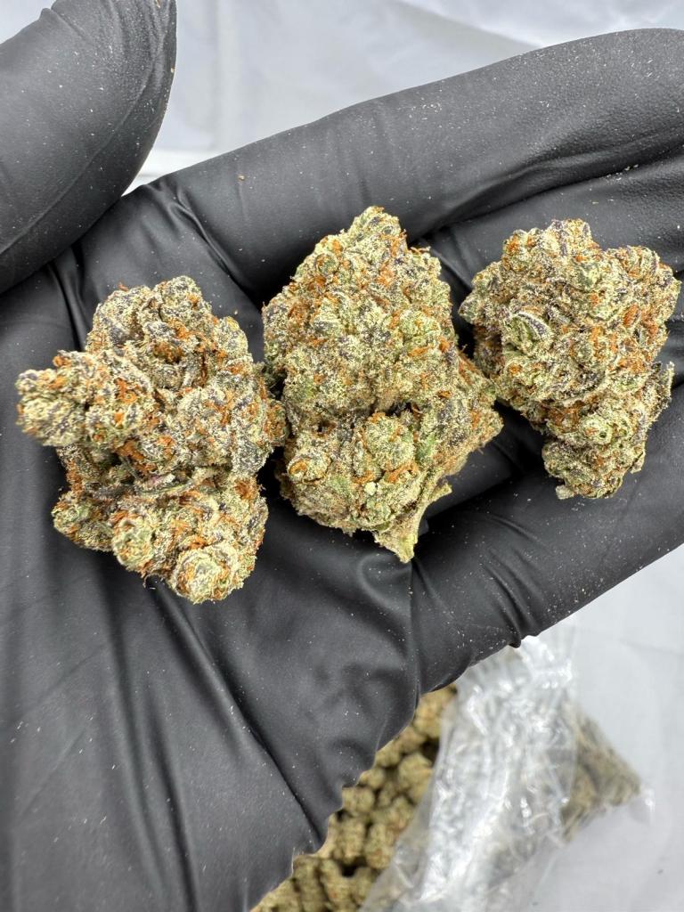 MAC DADDY - INDOOR