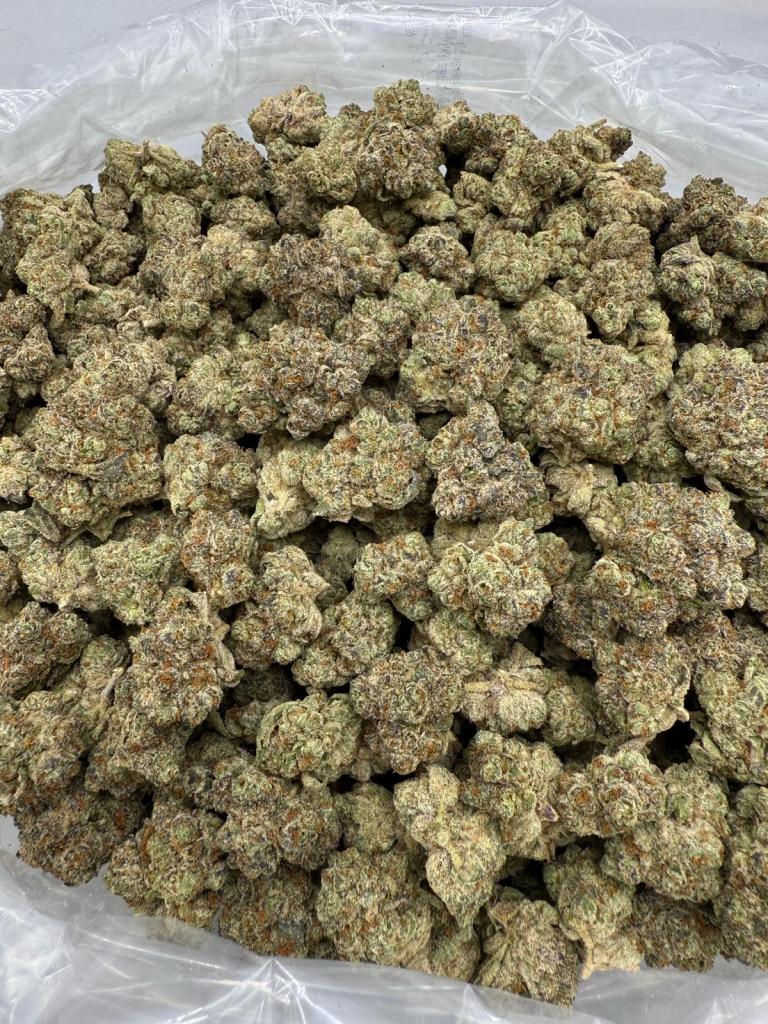 MAC DADDY - INDOOR