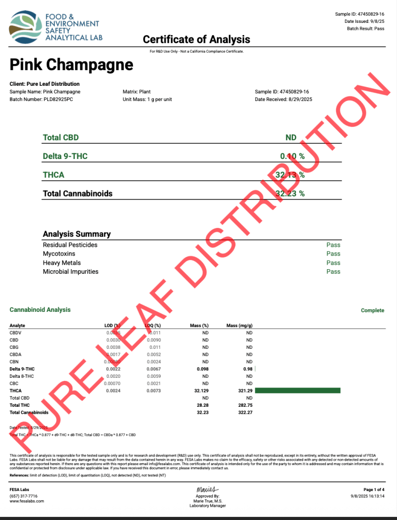 PINK CHAMPAGNE - VALUE INDOOR