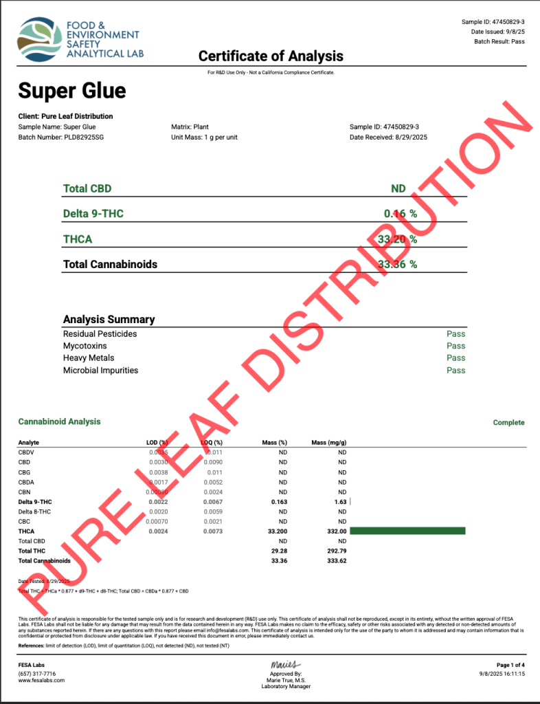 SUPER GLUE - VALUE INDOOR