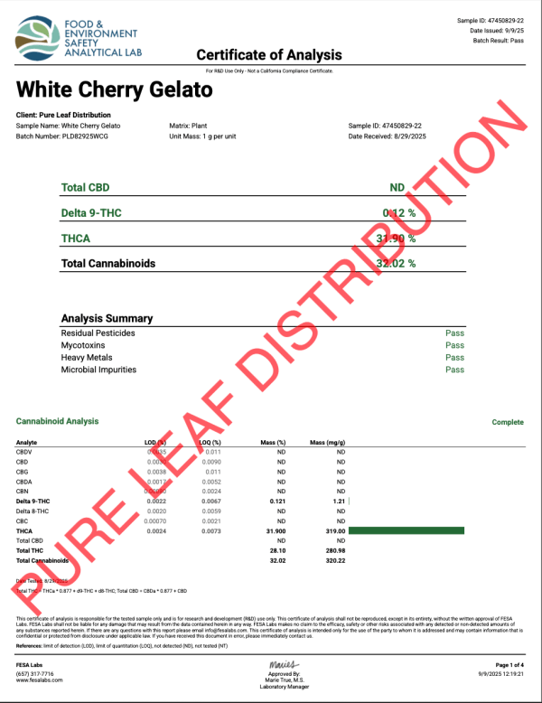 WHITE CHERRY GELATO - VALUE INDOOR