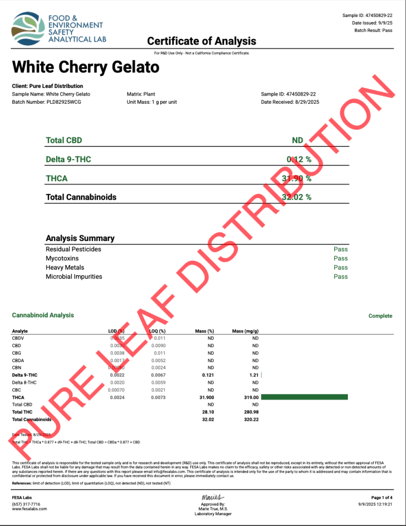WHITE CHERRY GELATO - VALUE INDOOR