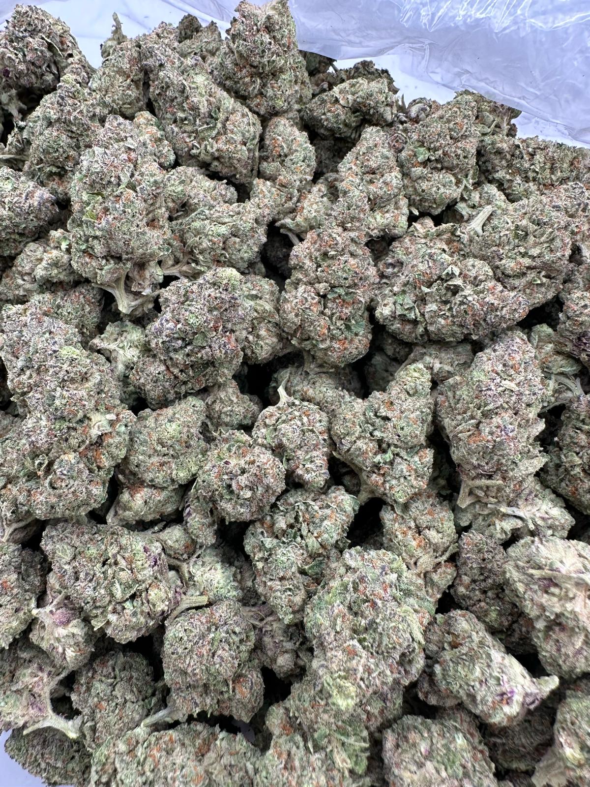 WHITE CHERRY GELATO - VALUE INDOOR - Image 2