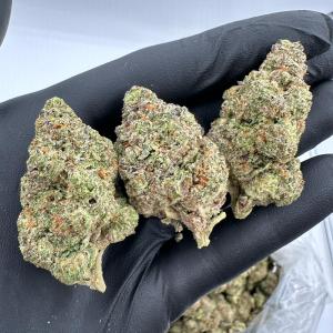 WHITE CHERRY GELATO - VALUE INDOOR - Image 1