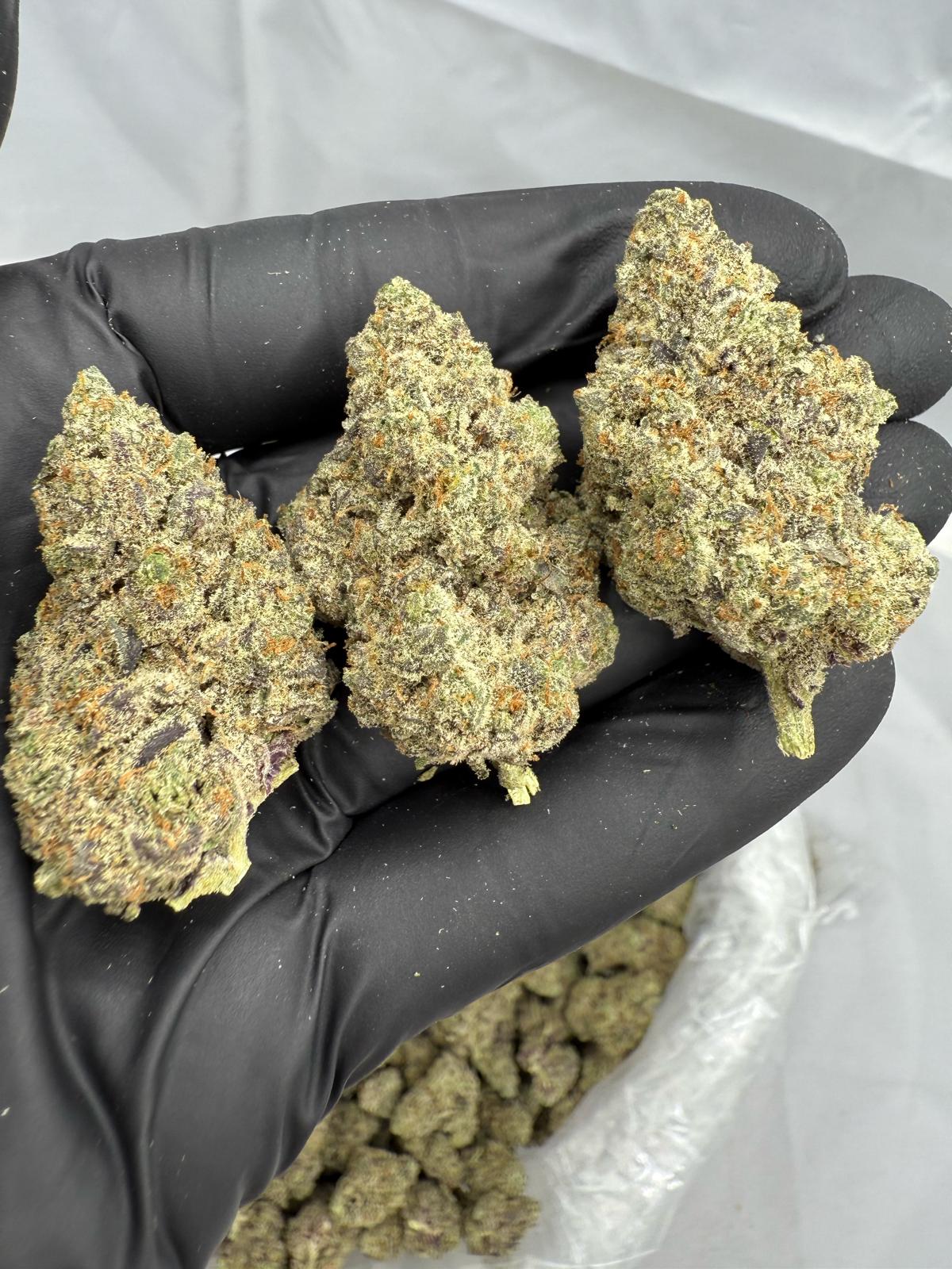 YERBA FUEL - INDOOR - Image 1