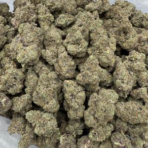 YERBA FUEL - INDOOR - Image 2