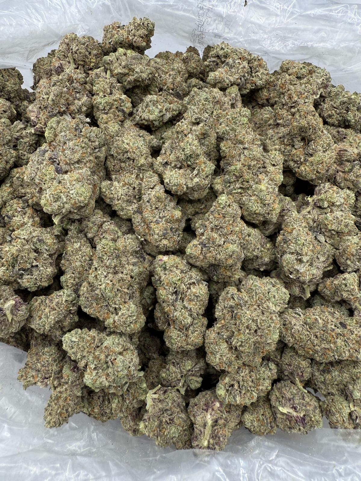 YERBA FUEL - INDOOR - Image 2