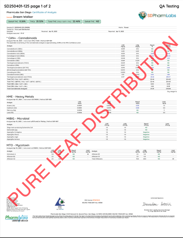 DREAM WALKER - VALUE INDOOR