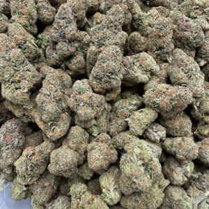 DREAM WALKER - VALUE INDOOR - Image 2