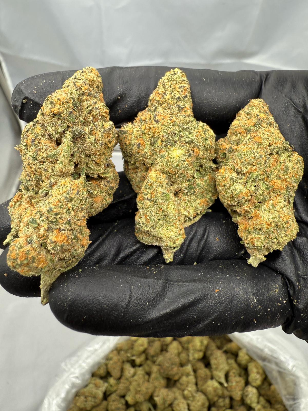 DREAM WALKER - VALUE INDOOR - Image 1