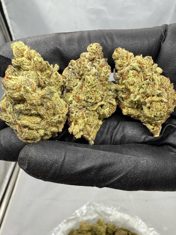 FROSTED MAC - LIGHT ASSIST