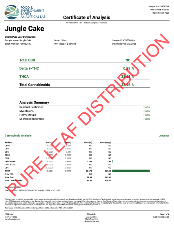 JUNGLE CAKE - INDOOR