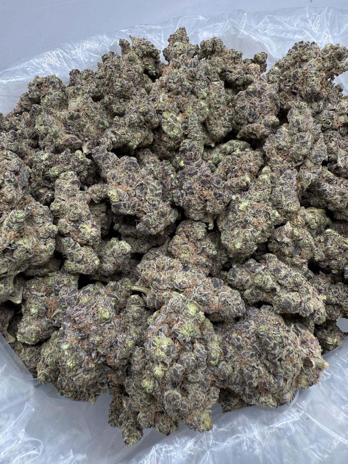 JUNGLE CAKE - INDOOR - Image 2