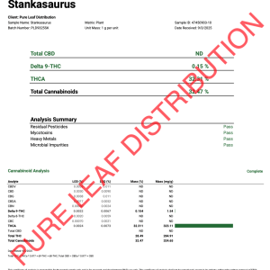 STANKASAURUS - INDOOR - Image 3