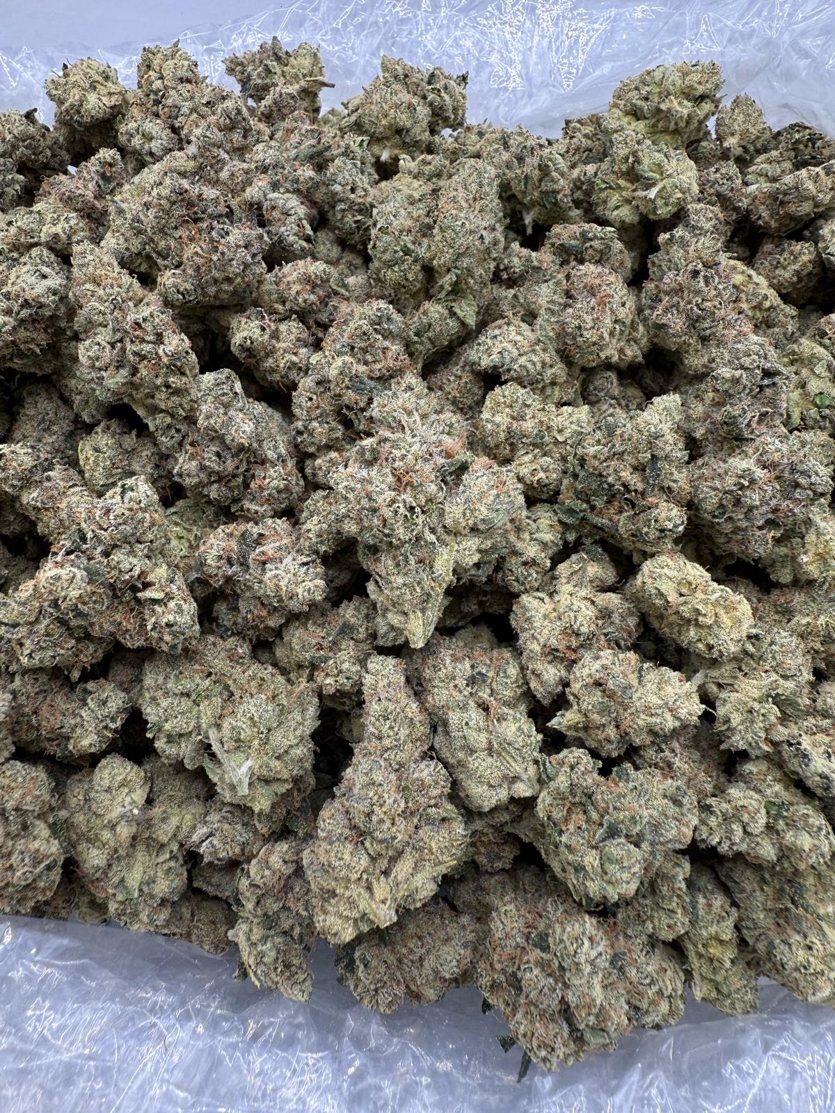 TANGIE - INDOOR - Image 2