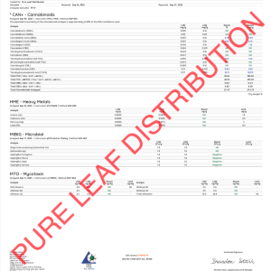ACAI RUNTZ - EXOTIC - Image 3