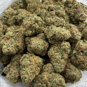 AFGHANI - INDOOR - Image 2