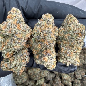 DEATH STAR - EXOTIC - Image 1