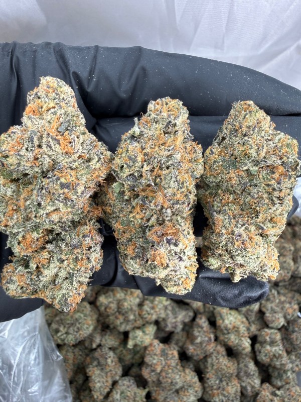 DEATH STAR - EXOTIC