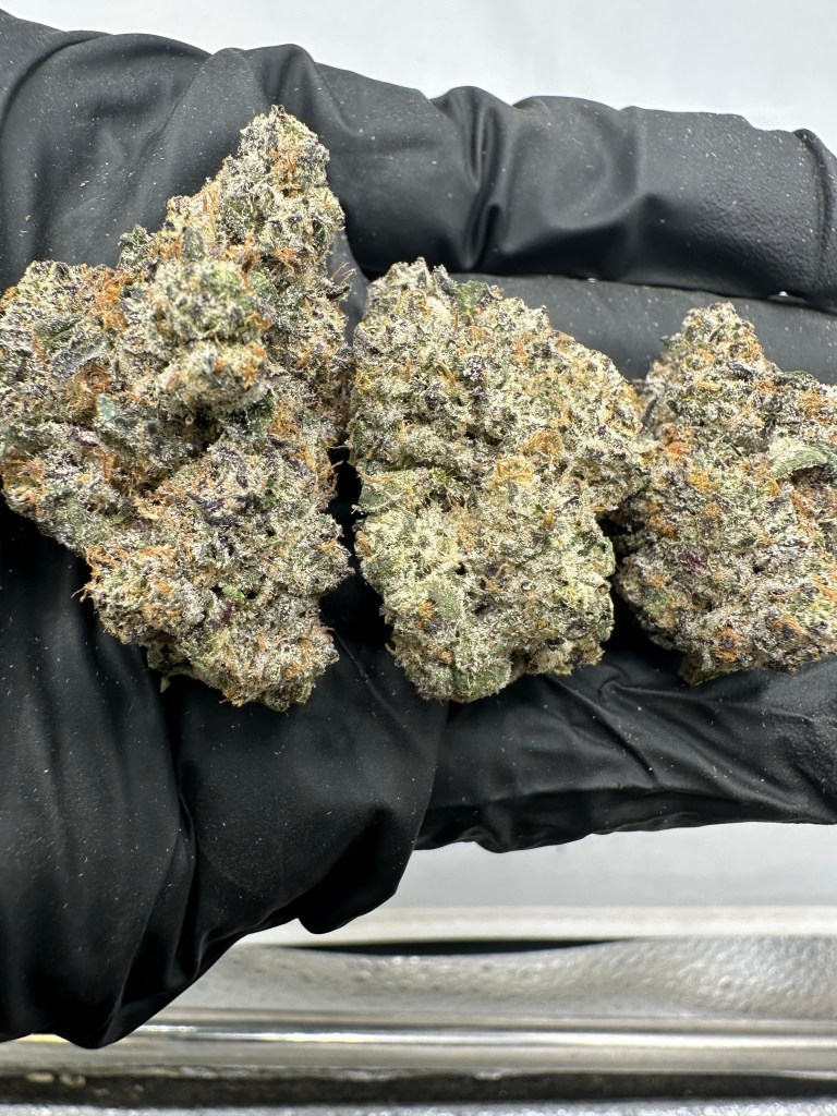 SUPER RUNTZ - INDOOR
