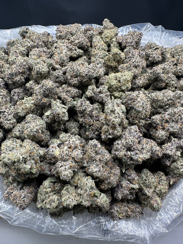 SUPER RUNTZ - INDOOR
