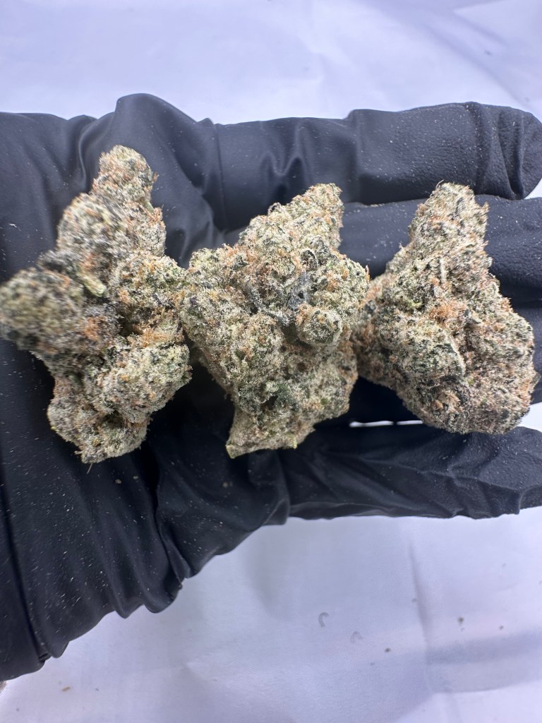 BLUE NERDZ - INDOOR