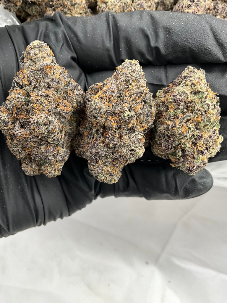 NYC GELATO - EXOTIC