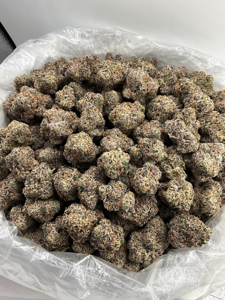 NYC GELATO - EXOTIC