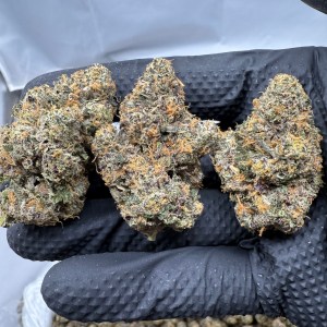 ACAI RUNTZ - EXOTIC - Image 1