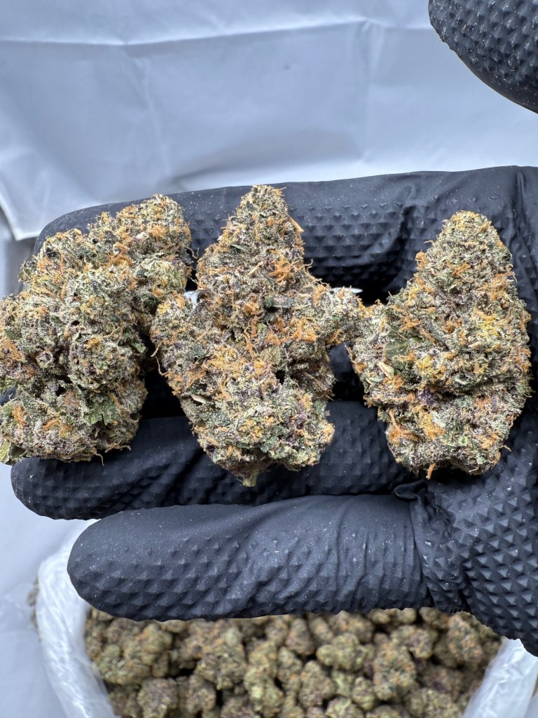 ACAI RUNTZ - EXOTIC