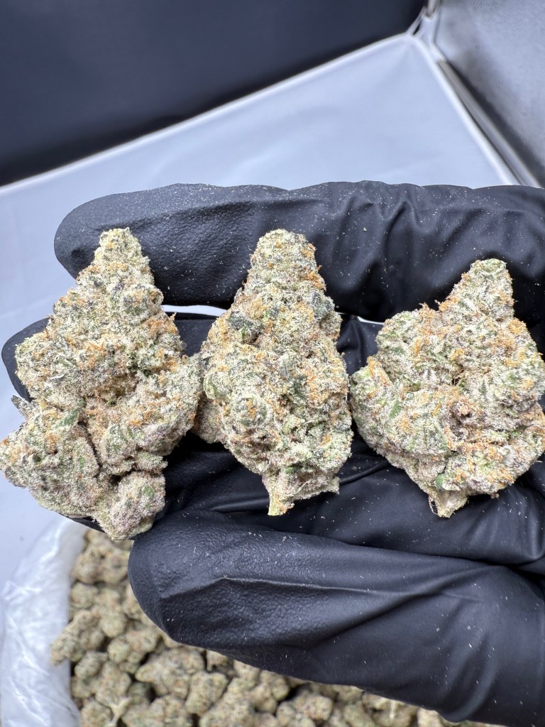 GHOST OG - INDOOR