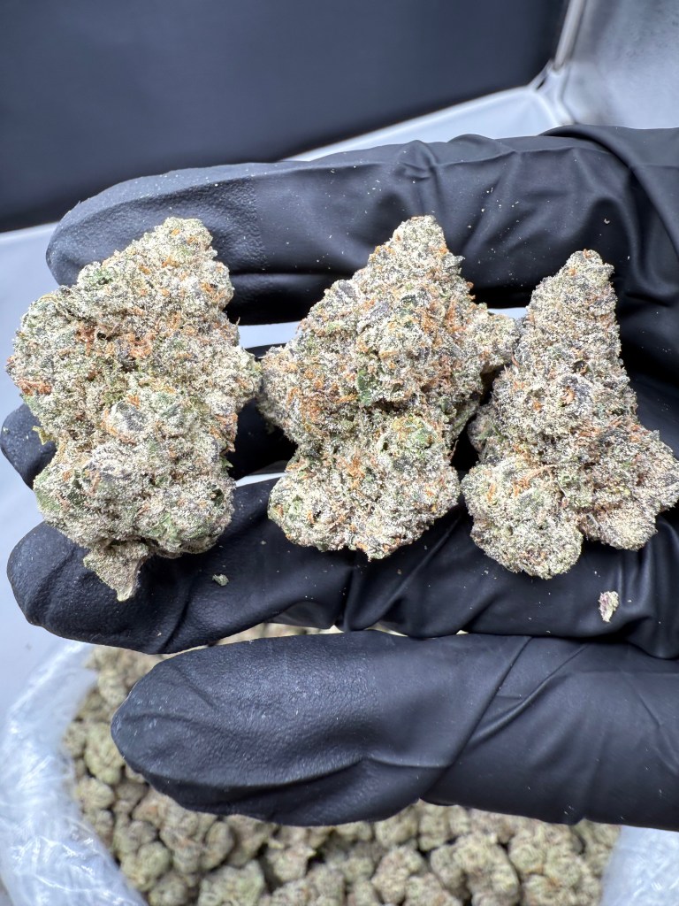 HEADBAND - INDOOR