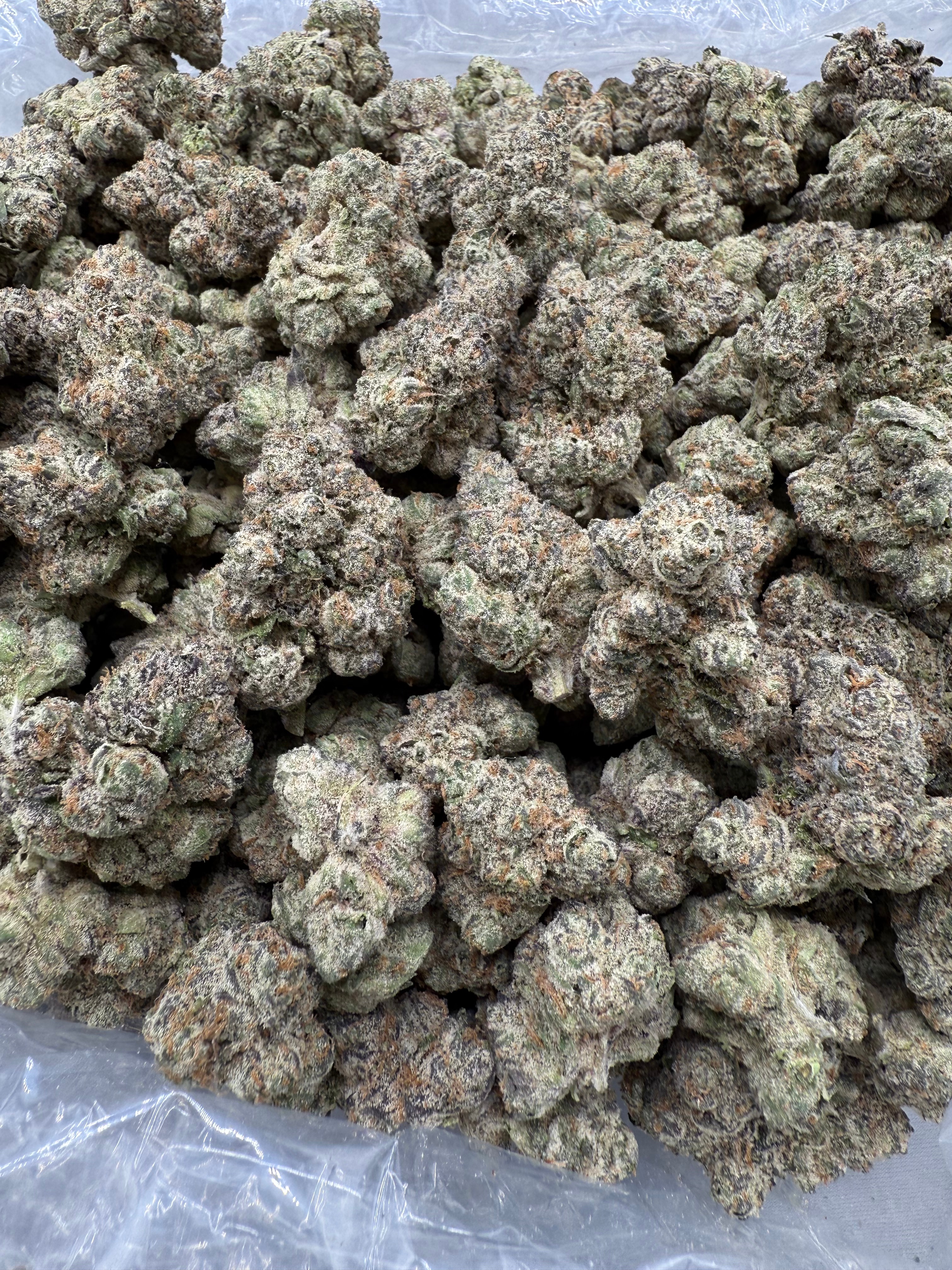 HEADBAND - INDOOR - Image 2