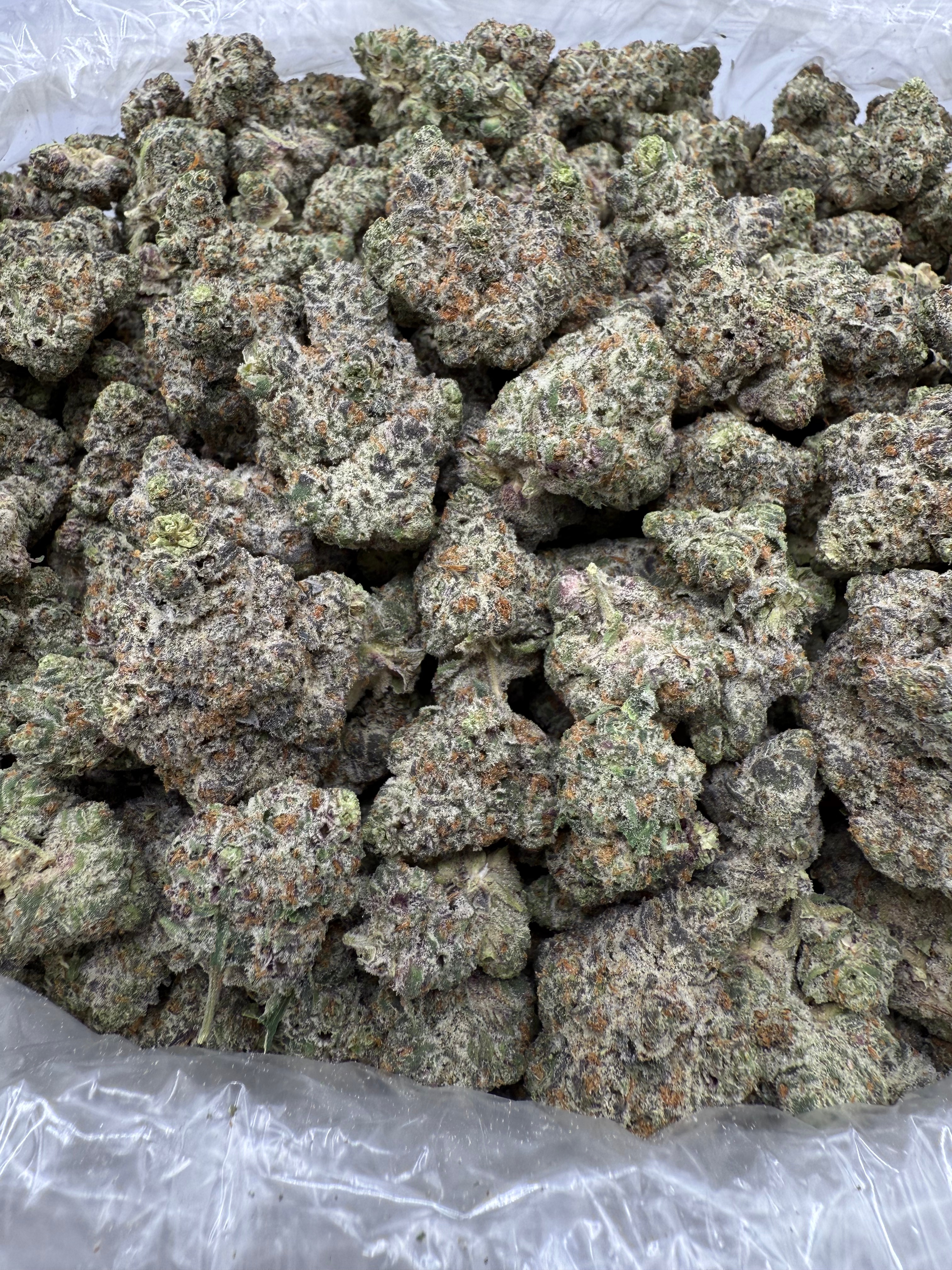 OREOZ - INDOOR - Image 2