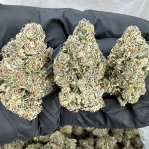 JUICY J - INDOOR - Image 1