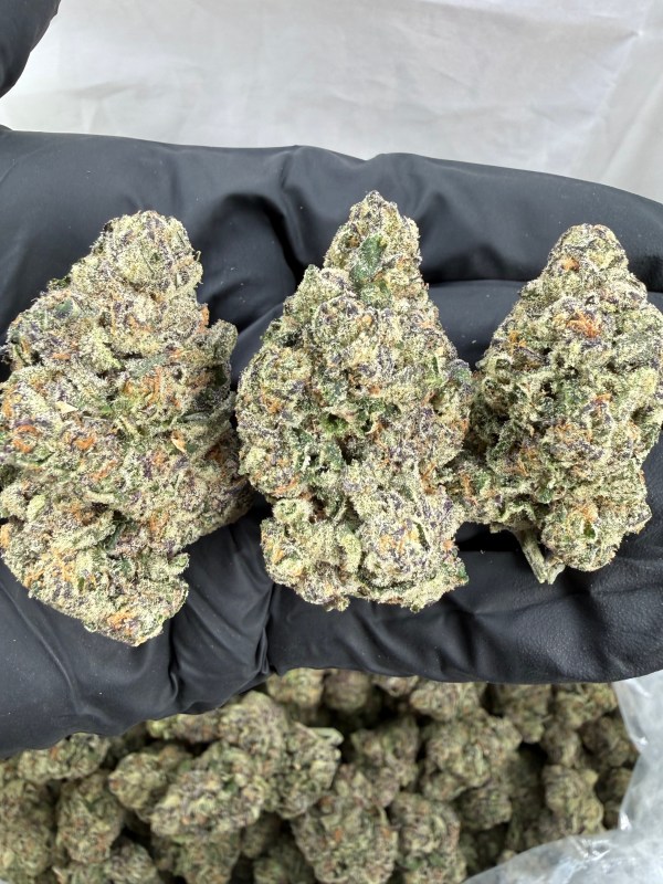 JUICY J - INDOOR