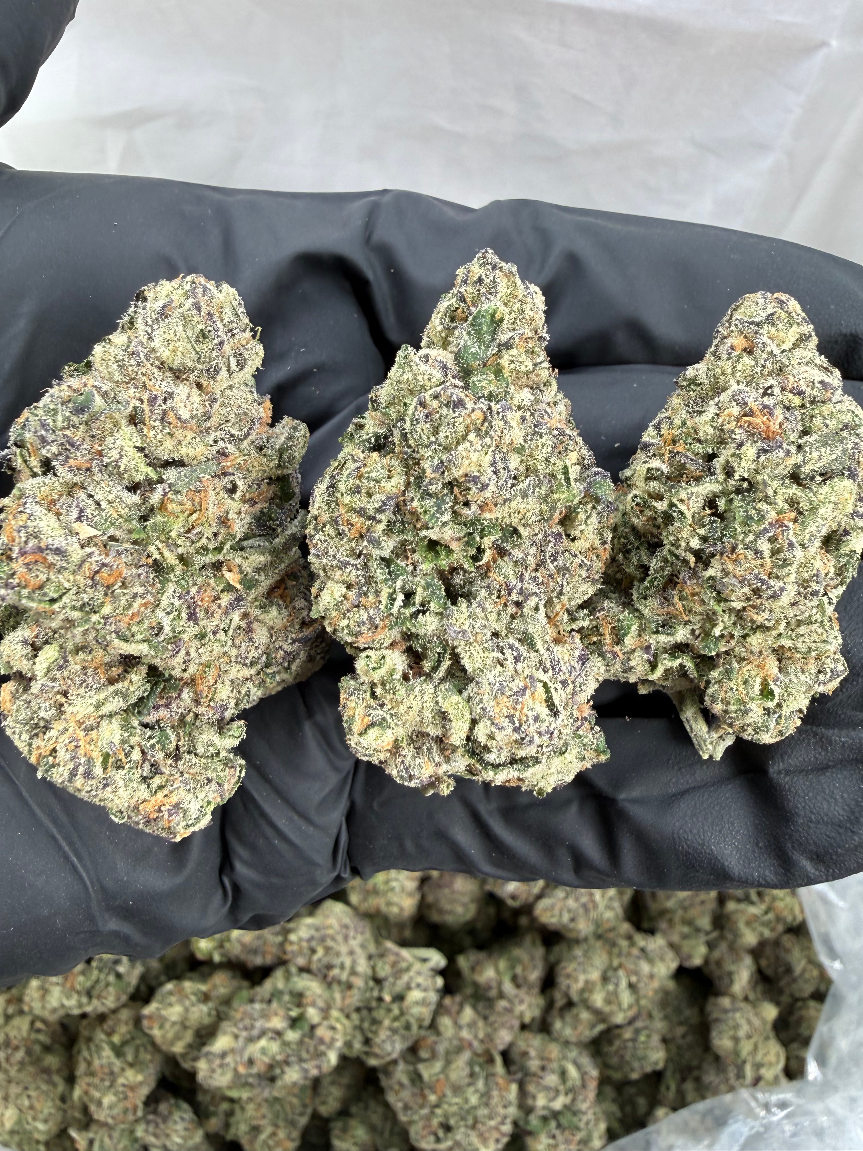 JUICY J - INDOOR - Image 1