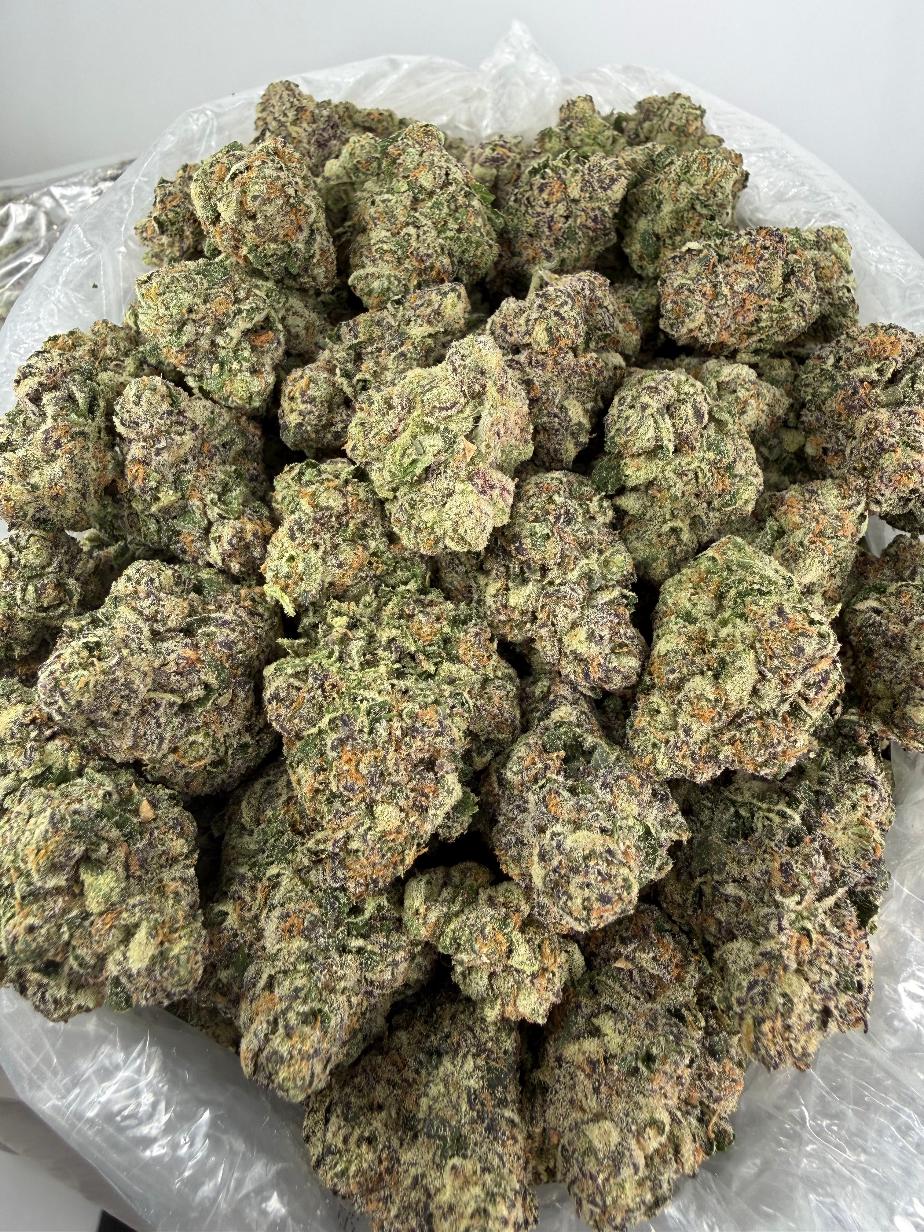 JUICY J - INDOOR - Image 2