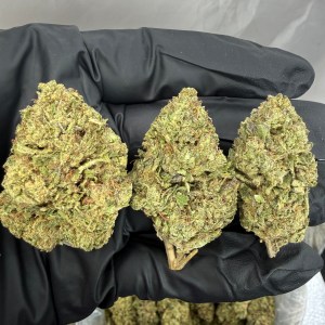 FROSTED CHERRY BOMB - LIGHT ASSIST - Image 1