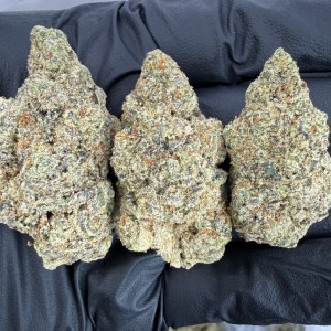 UP DAWG - INDOOR - Image 1